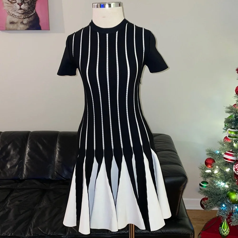 Weekend sale ⭐️⭐️⭐️ VALENTINO black and white dress - Picture 1 of 14
